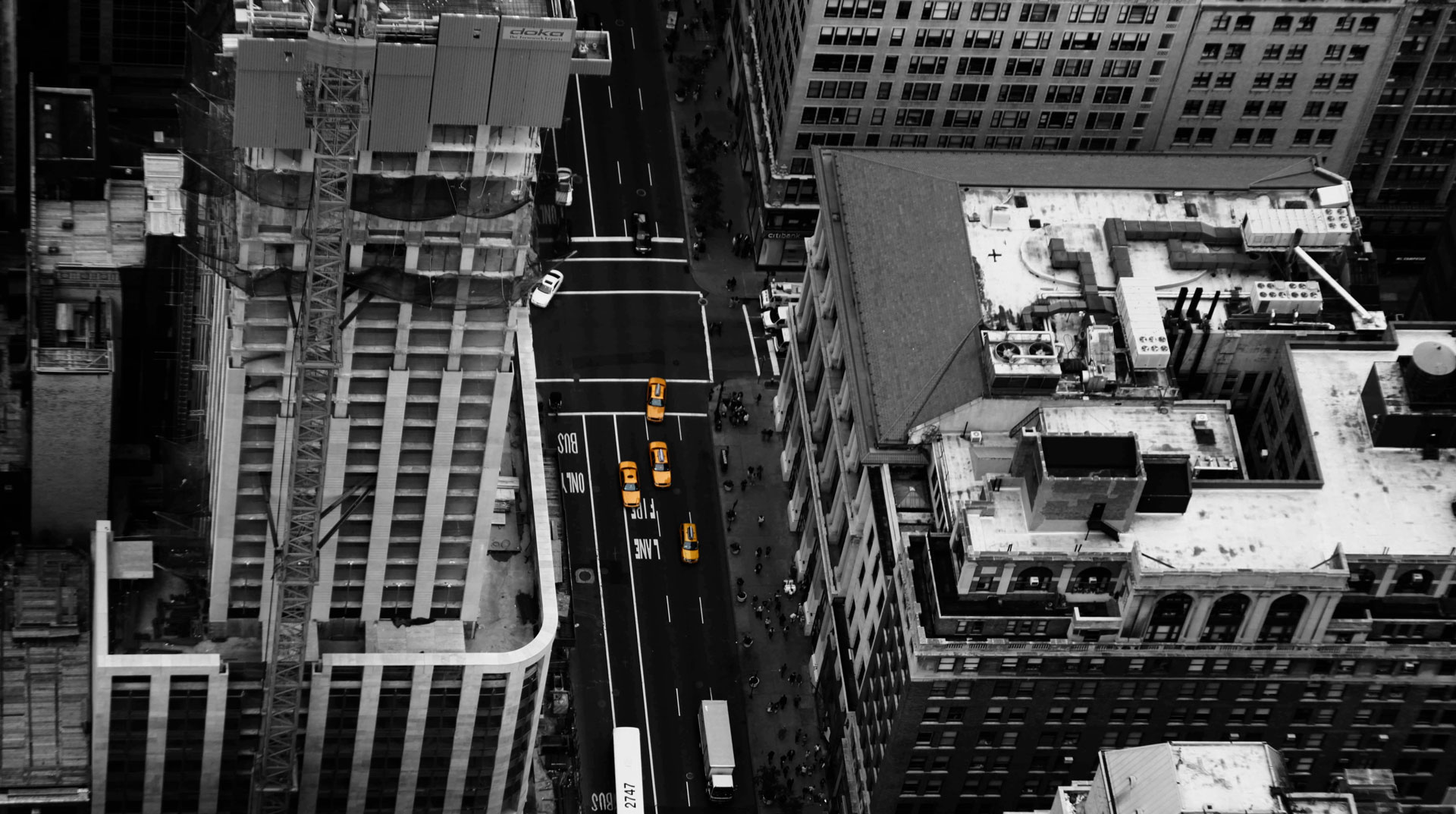 Madison Square Garden, New York